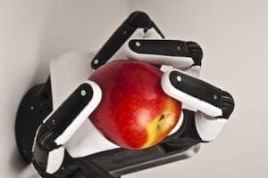 Image of a soft-hand robot holding a fresh apple