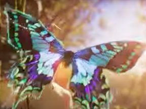 Screenshot of a butterfly from Sonos's YouTube video