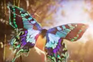 Screenshot of a butterfly from Sonos's YouTube video