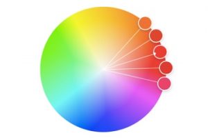 Image of a color wheel from Adobe Color