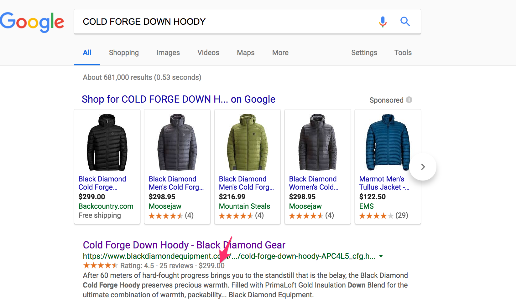 Black Diamond Equipment shows prices in search results — $299 in this case for a "Cold Forge Down Hoody."